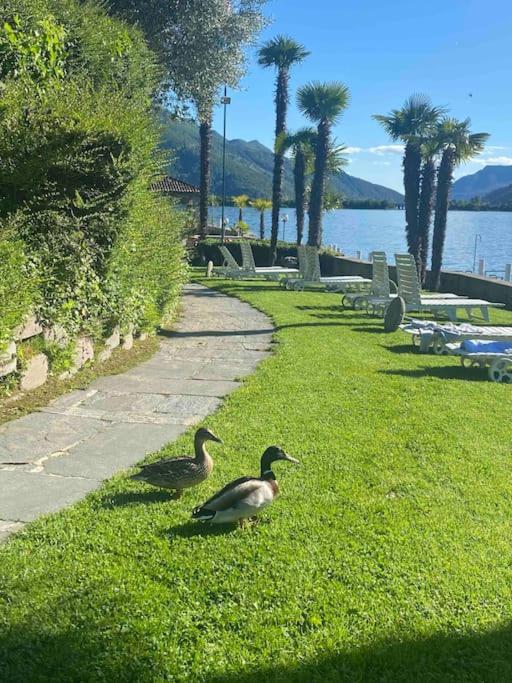 Holiday On The Lake Lugano 2-16 Bissone Luaran gambar